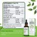 2 Pack Soursop Graviola Liquid Drops 1800mg Organic Soursop Bitters Liquid Antioxidant Blend Sea Moss Vitamin B6 C D3 Pure Leaf Extract Immunity Support 98% Absorption Vegan 4fl oz 2 Fl Oz (Pack of 2) - Buy Online on GoSupps.com