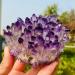 Natural Amethyst Cluster Ore Demagnetization Stone Purification Decoration Can be Used for (Size : 350-400g) ningxiao - Buy Online on GoSupps.com