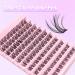 Bransfy Cluster Lashes D Curl 100 Pcs | Natural Look False Eyelashes Extension | Reusable DIY Eyelash Extension | Super Thin Band | Soft & Comfortable | D 0.07 8-16mm - Buy Online on GoSupps.com