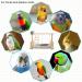 Parrots Playground Gym with Ladder Swings & Feeding Cups - For Parakeets, African Grey, Conures, Cockatiels - Cage Accessories & Toys - Buy Online on GoSupps.com