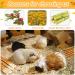 Abiz Rabbit Toys Set: 6 Apple Wood & 4 Bamboo Chewing Sticks with Chamomile for Rabbits Hamsters Guinea Pigs & Chinchillas - Premium Chew Treats - Buy Online on GoSupps.com
