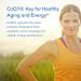 Allergy Research Group CoQH-CF 100 mg - Premium CoQ10 Supplement (60 Gels) | International Shipping Available - Buy Online on GoSupps.com
