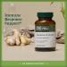 GAIA HERBS PRO Immune Activator - Immune Support Supplement - Features Echinacea Ginger Root Elderberry & Andrographis - Vegan Dairy-Free & Gluten-Free - 40 Liquid Phyto-Caps (20 Servings) - Buy Online on GoSupps.com