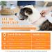 PETTOM Reflective Nylon Half Choke Dog Collar with Safety Buckle for Large Dogs - Orange (L 52-71CM) - Buy Online on GoSupps.com