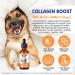Premium Grass-Fed Liquid Collagen for Dogs - Skin and Coat Support Supplement with Biotin Vitamin C and Hyaluronic Acid - Buy Online on GoSupps.com
