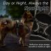 Eagloo Adjustable Dog Harness for Small Dogs - Durable Anti-Training Design with Reflex Strips - Perfect for Walking & Jogging - XS Brown (1 Pack) - Buy Online on GoSupps.com