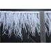 Happy Feather 2 Yards White Ostrich Feathers Trim Fringe - 5-6 inch DIY Dress Sewing Crafts Costumes Decoration - Buy Online on GoSupps.com