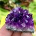 Natural Amethyst geode Quartz Cluster Specimen70-80g - Buy Online on GoSupps.com