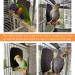 Ogioxam Bird Heater - Thermostatical Bird Warmer for Parakeets | IP67 Waterproof & 12V Bird Accessories - Buy Online on GoSupps.com