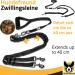 Buy Twin Leash for Large Dogs | Stretchable Double Leash 150-220 cm | Reflective & Soft Handle | Ideal for 2 Dogs Over 20 kg - International Shipping - Buy Online on GoSupps.com