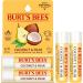 Burt's Bees Coconut and Pear Moisturizing Lip Balm 0.15 oz - Buy Online on GoSupps.com
