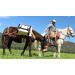 Outfitters Supply Double Pack Cinch - Mohair/Wool 34/36 for Sawbuck or Double Rigged Pack Saddle - Buy Online on GoSupps.com