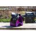 Nedlandic Saddle Carrier (Violet) - Premium International Shipping | Shop Now - Buy Online on GoSupps.com