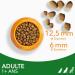 IAMS Vitality Adult Dog Croquette Small and Medium Breeds Lamb - Buy Online on GoSupps.com