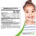NaturesPlus Animal Parade KidZinc Lozenges - Tangerine Flavor - 90 Animal Shaped Tablets - Buy Online on GoSupps.com