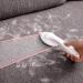 Loviver 6x Lint Removal Brush - Reusable Pet Fluff Brush for Bedding Sofas & Furniture - Buy Online on GoSupps.com