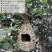 Hand-Woven Eco-Friendly Teardrop Bird Hut | Hanging Grass Bird House | 100% Natural Fiber | Shelter from Cold Weather - Buy Online on GoSupps.com