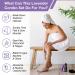 Daily Remedy Lavender Callus Remover Gel & Pumice Stone Set - Professional Strength Foot Care for Calluses, Dead Skin, and Cracked Heels - Buy Online on GoSupps.com