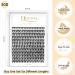 High-Quality Individual False Eyelashes - 30D 0.07 C Curl Mix 8-14mm | Reusable DIY Cluster Lashes for Stunning Eye Makeup - Buy Online on GoSupps.com