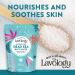 Lavology Lot de 2 sels de bain de la mer Morte Ingr dients naturels Nourrit les peaux s ches et irrit es 5 kg 5 kg (Lot de 2) Sel de la Mer - Buy Online on GoSupps.com