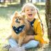 Shop Beautiful Butterfly Triangular Scarves for Dogs & Cats | Multi-Colored Bibs for All Sizes - 2 Pack - Buy Online on GoSupps.com