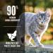 ORIJEN Original Grain Free Dry Cat Food 4lb - Premium High Protein Formula with Fresh & Raw Animal Ingredients - Buy Online on GoSupps.com