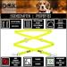 DDOXX Reflective Nylon Dog Leash | 2m 3-Way Adjustable for All Dog Sizes - M Yellow | Durable & Safe Dog Walking Gear - Buy Online on GoSupps.com