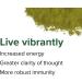 Vibrant Health Green Vibrance Vegan Superfood Powder 60 Servings - Frustration-Free Packaging - Buy Online on GoSupps.com
