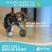 Raw Paws Compressed Catnip Ball Toy 6 Pack for Indoor Cats - All Natural Catnip Interactive Kicker Toy - Catnip Cat Toys for Kitties - Buy Online on GoSupps.com