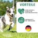 Eggersmann Carnebello Nourriture pour chien humide avec panse (6 x 400 g) - Nourriture compl te pour chiens adultes - Nourriture humide savoureuse et de qualit sup rieure pour chiens - Buy Online on GoSupps.com