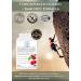 Complementary Supplements - Energy Boost Complex - Concentrated Energy Formula High in Antioxidants & Natural Iron - Montmorency Cherry Beetroot Turmeric VIT B6 Vegan 60 Capsules - Buy Online on GoSupps.com