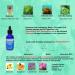 REGENSIFY Redensifying Hair Regrowth Serum 60ml - Redensyl, Adenosine, Biotin, Coenzyme Q10, Centella Asiatica, Saw Palmetto & Ecklonia Cava - Buy Online on GoSupps.com