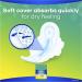 Always Ultra Thin Regular Pads With Wings Multi Size 1 - Unscented, 18 Count - Buy Online on GoSupps.com