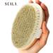 Wet and Dry Body Brush Exfoliator by Scala Beauty | Soft Bristle Brush for Smooth, Radiant Skin - Exfoliates Dead Skin, Reduces Cellulite, Stimulates Blood Flow | 5 x 2.75 in Dry Brush - Buy Online on GoSupps.com