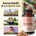 HERBAMAMA Sarsaparilla 1000 mg - 100 Capsules for Herbal Wellness - Buy Online on GoSupps.com