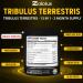 Tribulus Terrestris 13-in-1 Supplement 16000mg with Maca, Horny Goat Weed, Panax Ginseng - Energy & Stamina Boost for Men & Women | 120 Capsules - Buy Online on GoSupps.com