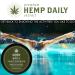 Triple Strength Hemp Daily Intensive Cream 1.7 oz - Vegan Organic with Essential Oils (3 Pack) - Buy Online on GoSupps.com