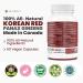 2400mg HIGH POTENCY Pure Korean Red Panax Ginseng capsules Powerful Energy Ginseng Supplement for Men & Women Cognitive and Immune Support. Non-GMO Vegan Gluten Free. 60 Easy to Swallow 4:1 Extract Capsules. 60 count (Pack of 1) - Buy Online on GoSupps.com
