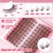 Buy Natural Brown Lash Clusters - Wispy Premade Eyelash Extensions | C Curl 10-15mm DIY for Beginners | Delyneph - Buy Online on GoSupps.com