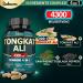 Satoomi Tongkat Ali 4300mg - 90 Vegan Capsules for Men | Premium Quality Supplement - Buy Online on GoSupps.com