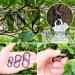 36 Pieces Mini Carabiner Hooks - Metal 8-Shaped Doppelkarabiner for Camping & Home Use (Black) - Buy Online on GoSupps.com