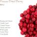 Fruits Rouges Lyophilis s Bio - Retrouvez Toutes Les Saveurs Des Fruits Frais - Buy Online on GoSupps.com