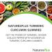 NaturesPlus Gummies Turmeric Curcumin - 60 Gummies Peach - Supports Joint Digestive & Cardiovascular Health - Vegan Gluten Free Non-GMO - 30 Servings - Buy Online on GoSupps.com