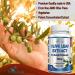 Premium Olive Leaf Extract 750mg - 20% Oleuropein - Vegetarian Capsules for Immune Support & Antioxidant Boost - Non-GMO - Buy Online on GoSupps.com