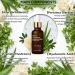 3PCS:MSGBcg Ageless Rejuvenate Face Serum Instant Face Lift & Anti Wrinkle Firming Serum for Reduce Wrinkles - Fine Lines - Plumping Skin 12% Vitamin c + 1% Hyaluronic Acid Formula for All Skin Types - Buy Online on GoSupps.com