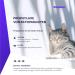 Vetasan Spot-On for Cats (4-7kg) | Flea & Tick Protection | 3-Months Chemical-Free Defense - Buy Online on GoSupps.com