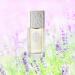 Jessica McClintock Eau De Parfum Spray 3.4 Ounce / 100 Ml for Women 3.4 Fl Ounce