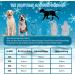 Ranypet Large Dog Hooded Sweater Set - 2XL Fashionable & Warm Cotton Hoodie with Zipper Bag for Autumn & Winter - Buy Online on GoSupps.com