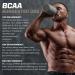 PMD Sports BCAA Stim-Free Amino Acids - Better Workout Performance Enhanced Recovery Daily Energy Muscle Builder and Muscle Sparing - BCAA Powder Drink Mix - Lemonade (30 Servings) - Buy Online on GoSupps.com