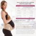 GABRIALLA Elastic Pregnancy Belly Band | Adjustable Maternity Belt for Improved Posture | Large Beige - Buy Online on GoSupps.com